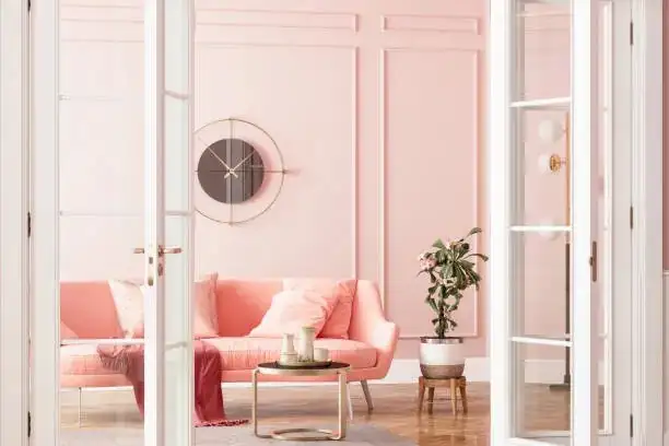pink princess philodendron in modern interior