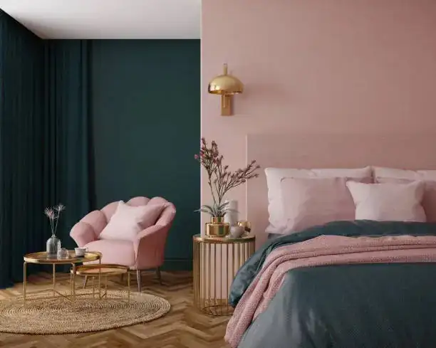 pink princess philodendron bedroom decor