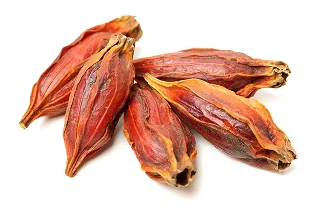 gardenia fruit traditional medicine