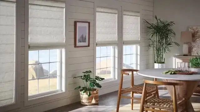 south facing window blinds sunlight