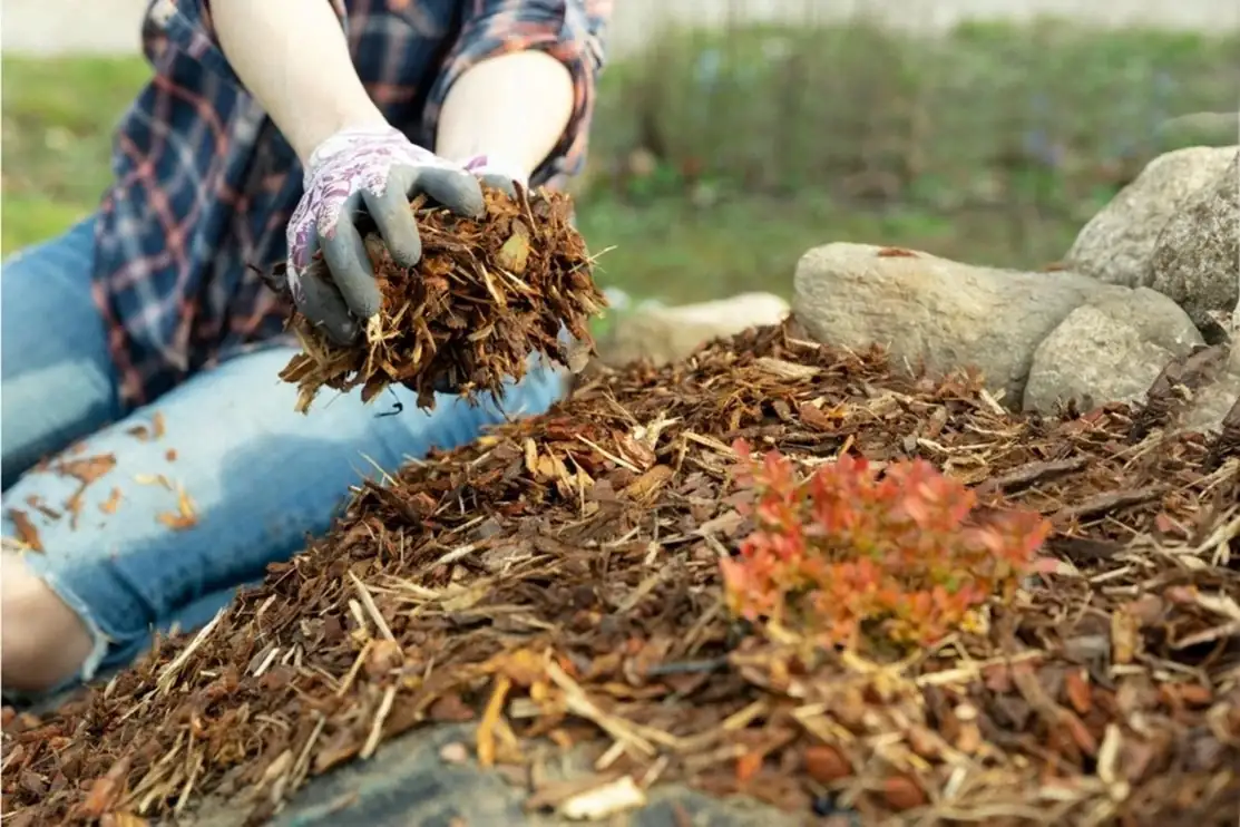 autumn garden organic fertilizer