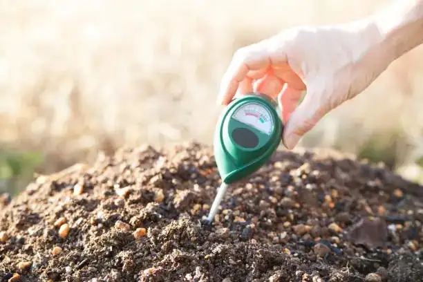soil pH testing in field