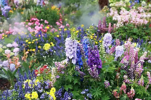 garden with diverse plants