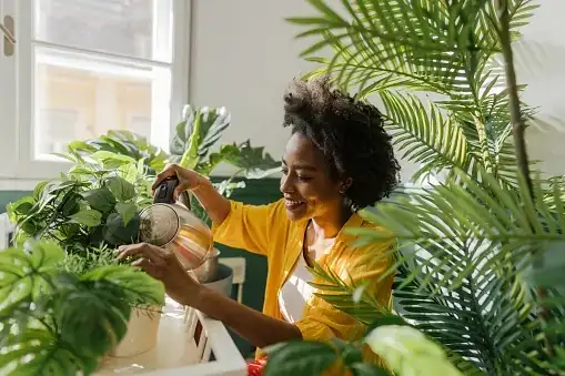 indoor plant care observation