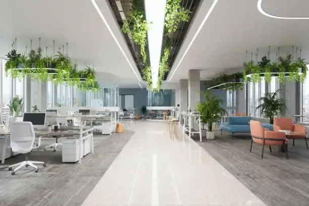 large office plants open space