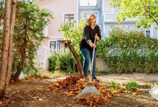 garden cleaning leaves