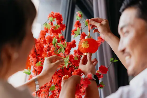 chinese new year cactus decor
