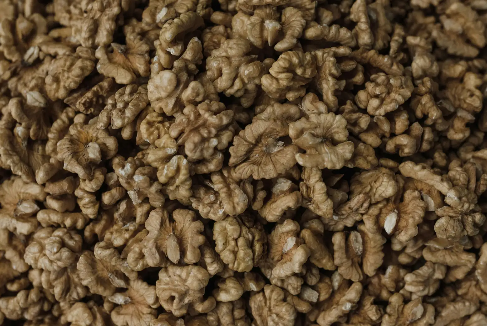 贝壳花的花语揭秘：幸运与希望的象征