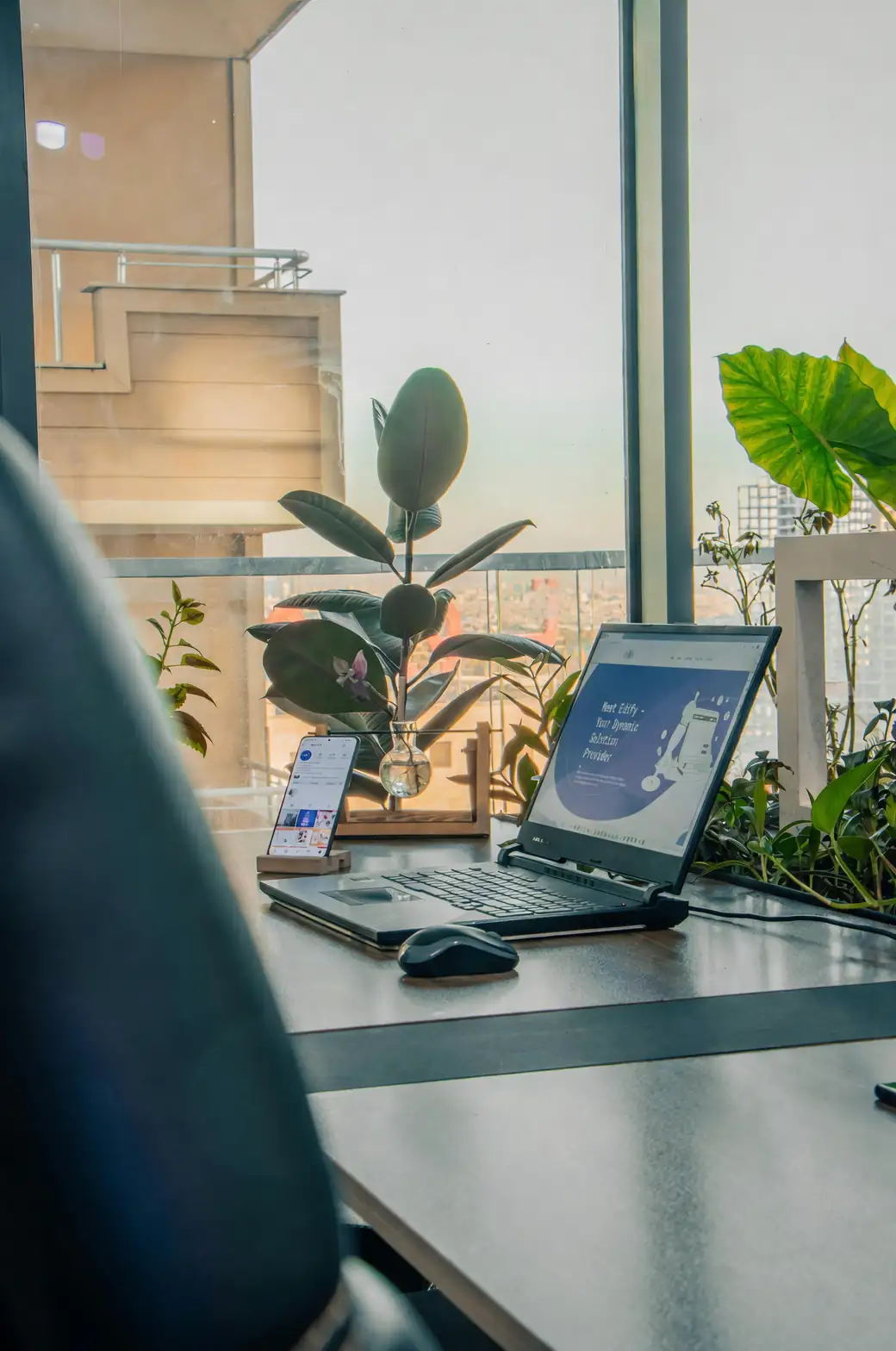 Moluccella laevis on office desk