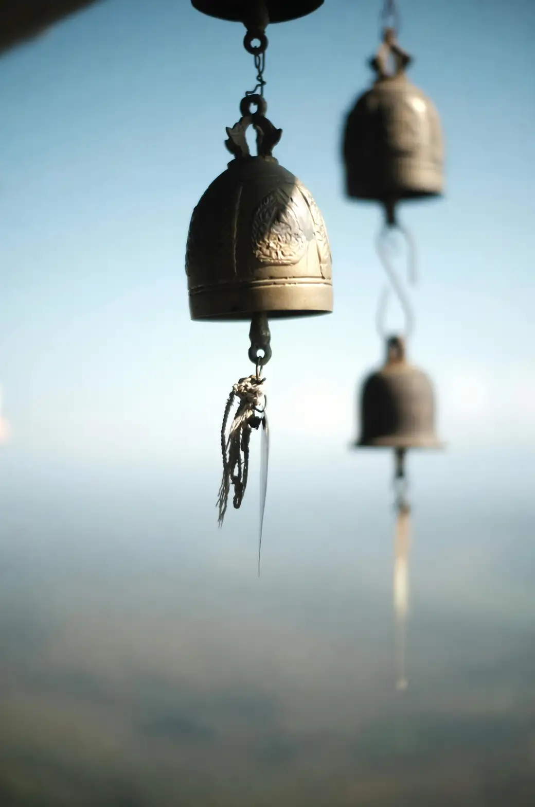 bells of ireland close-up