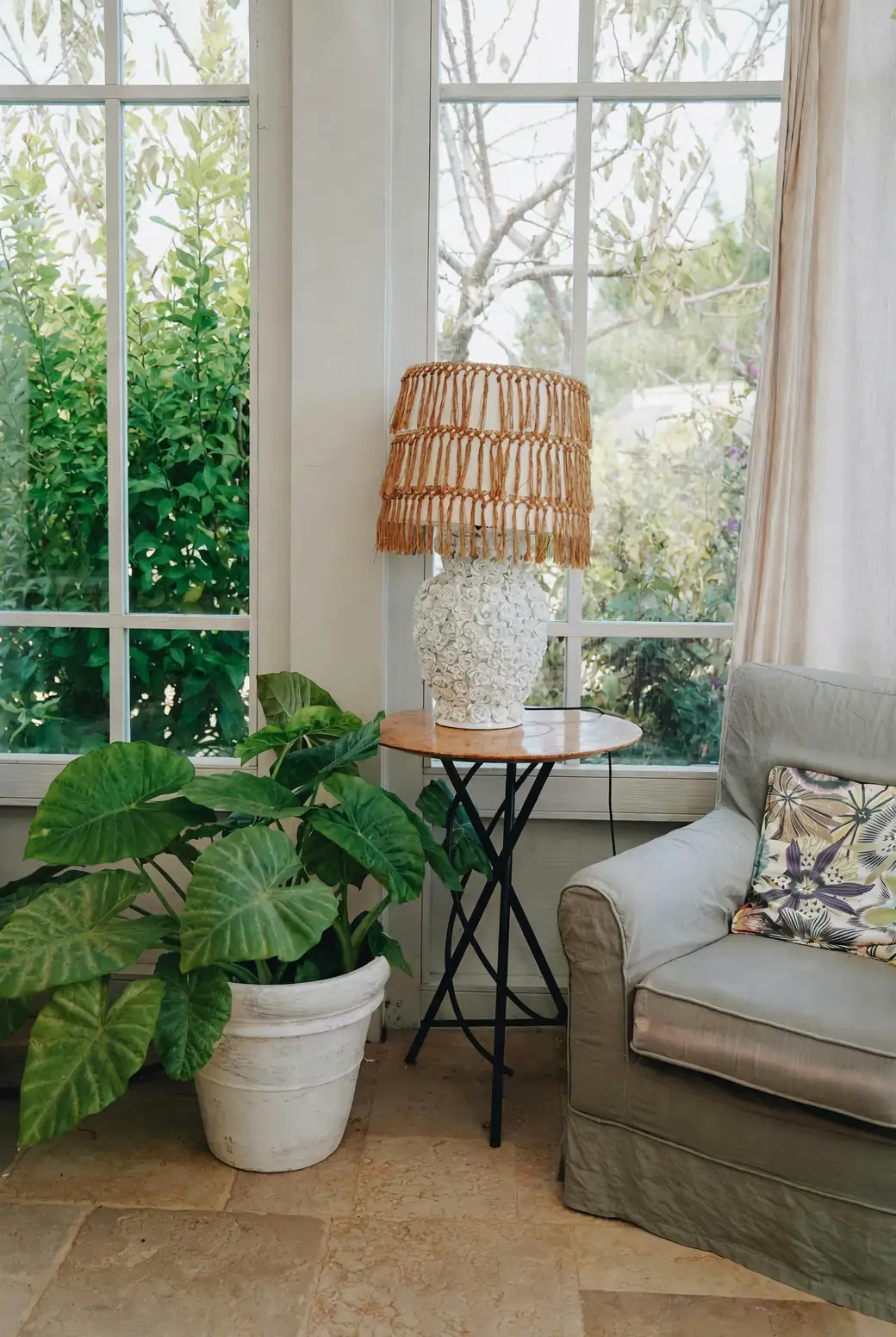 Aglaonema in cozy living room corner