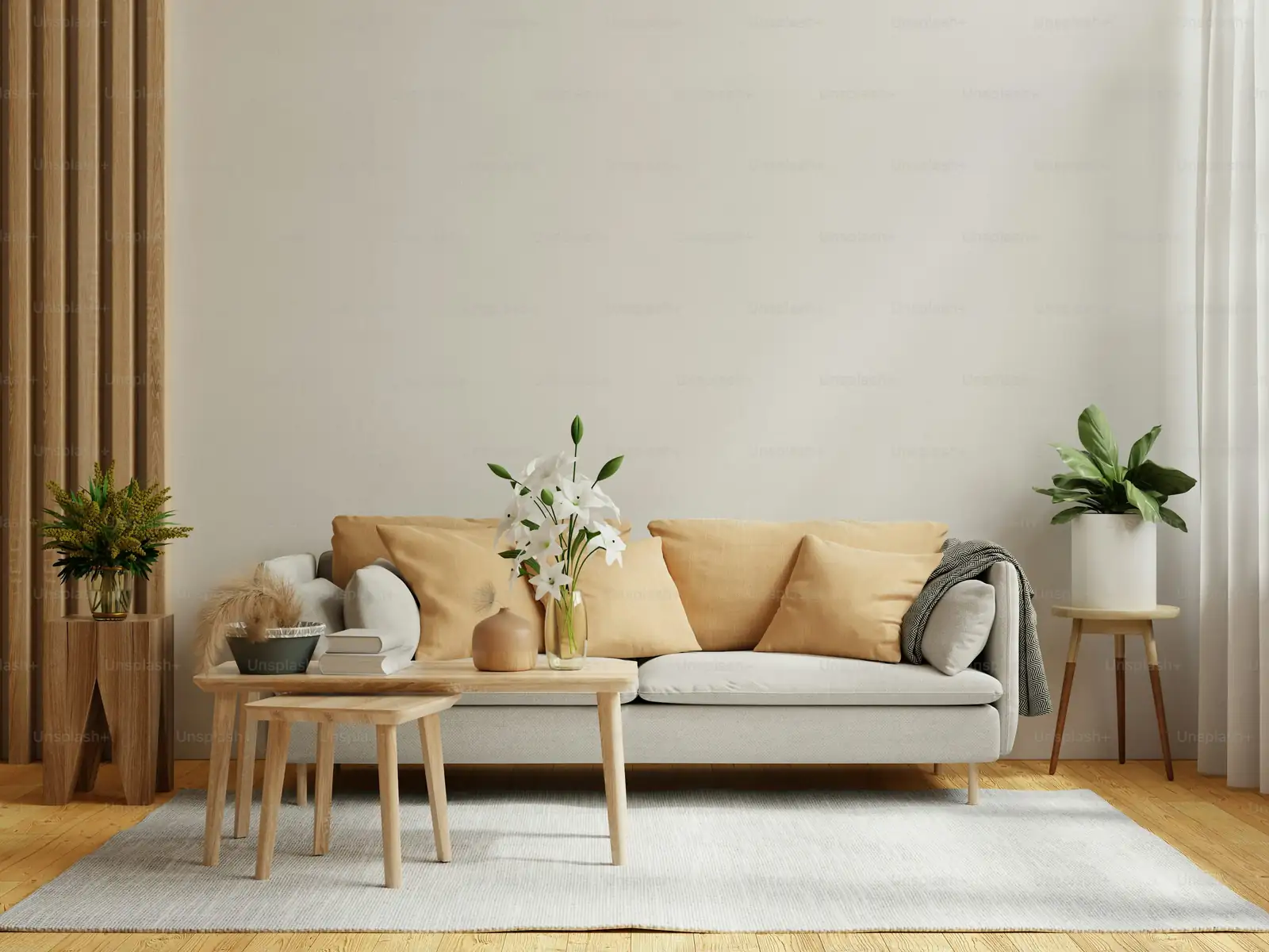 aglaonema in modern living room