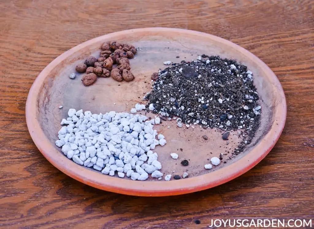lavender soil drainage stones