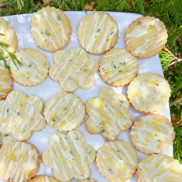 lavender lemon cookies on plate