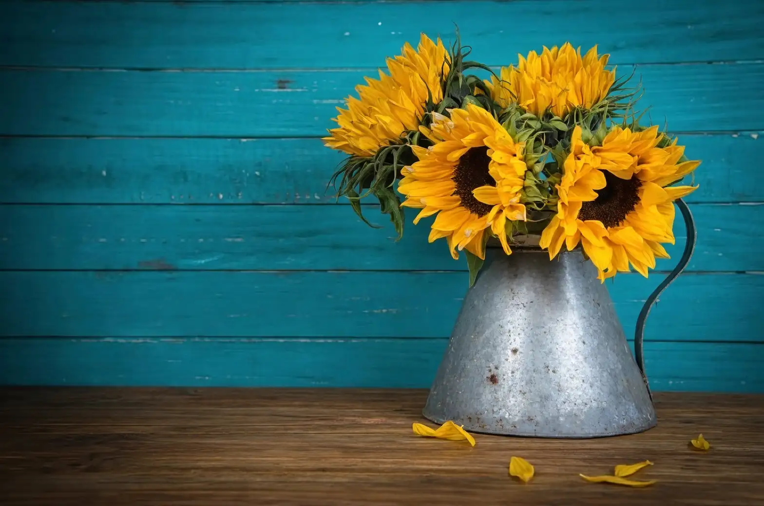 sunflower vintage balcony decor
