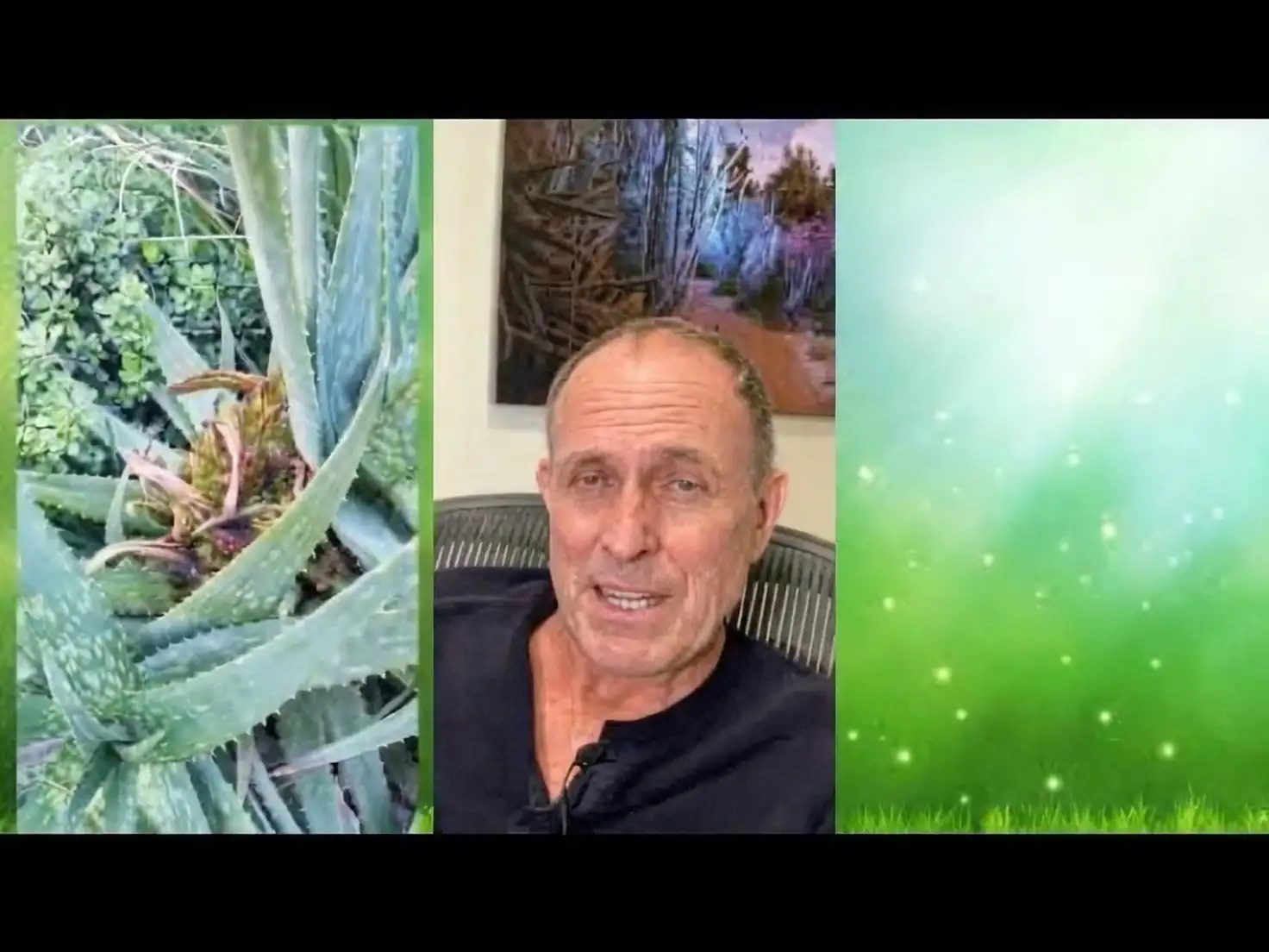aloe vera with spider mites