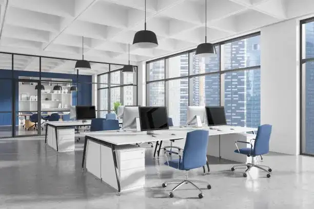 Aglaonema in bright office setting