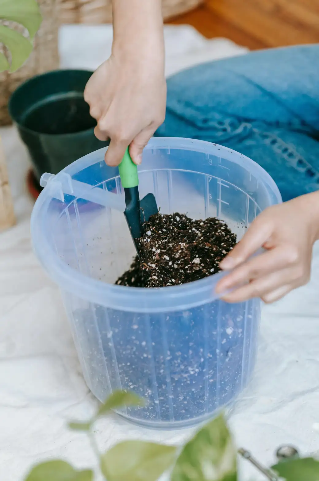 sunflower potting mix with perlite