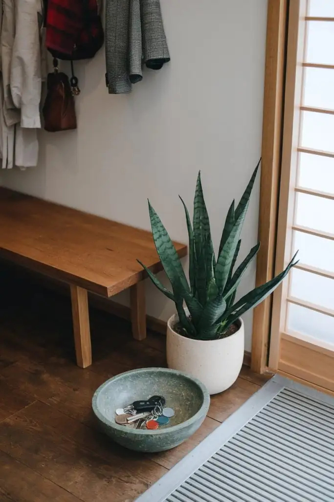 cyclamen Japanese entryway decor