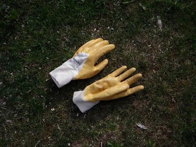 clematis pruning hands with gloves
