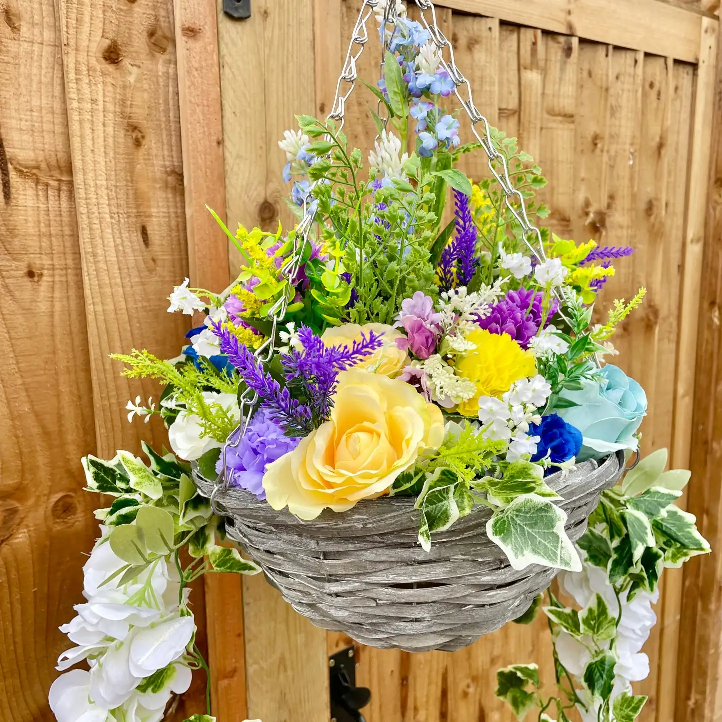 primrose balcony hanging basket yellow purple