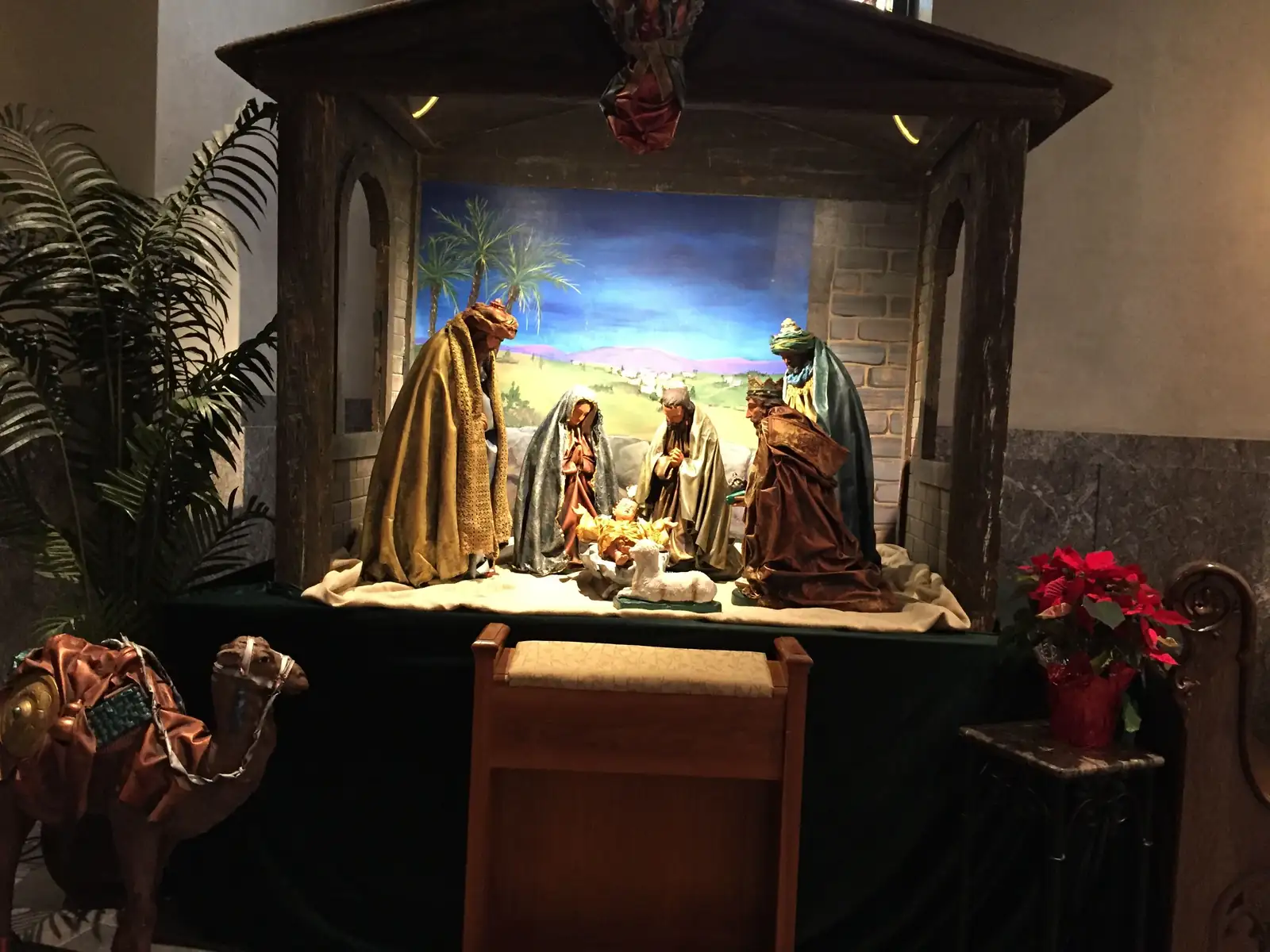 poinsettia nativity scene church