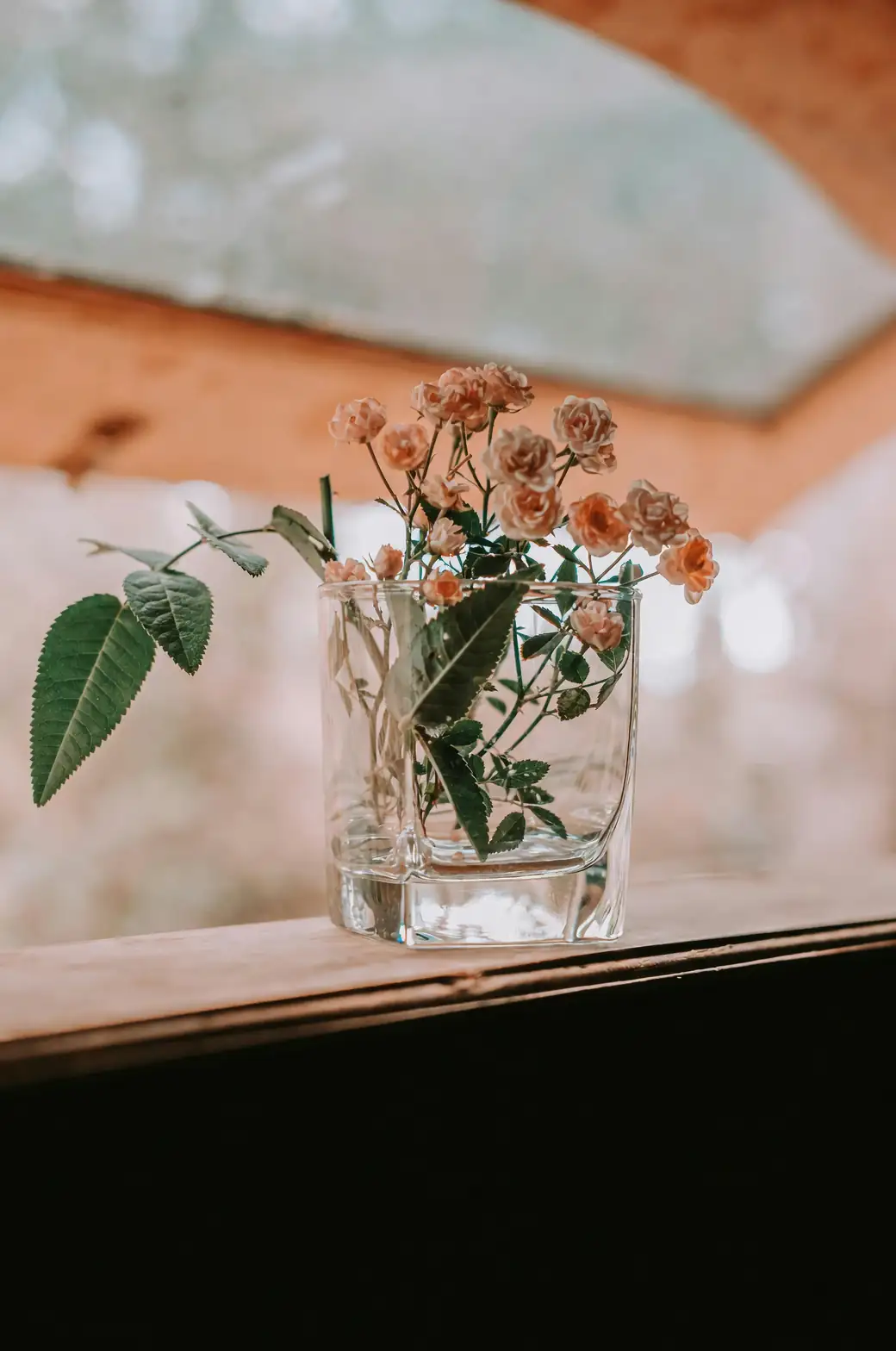 切枝也能撑到春节：一品红花艺与保鲜术