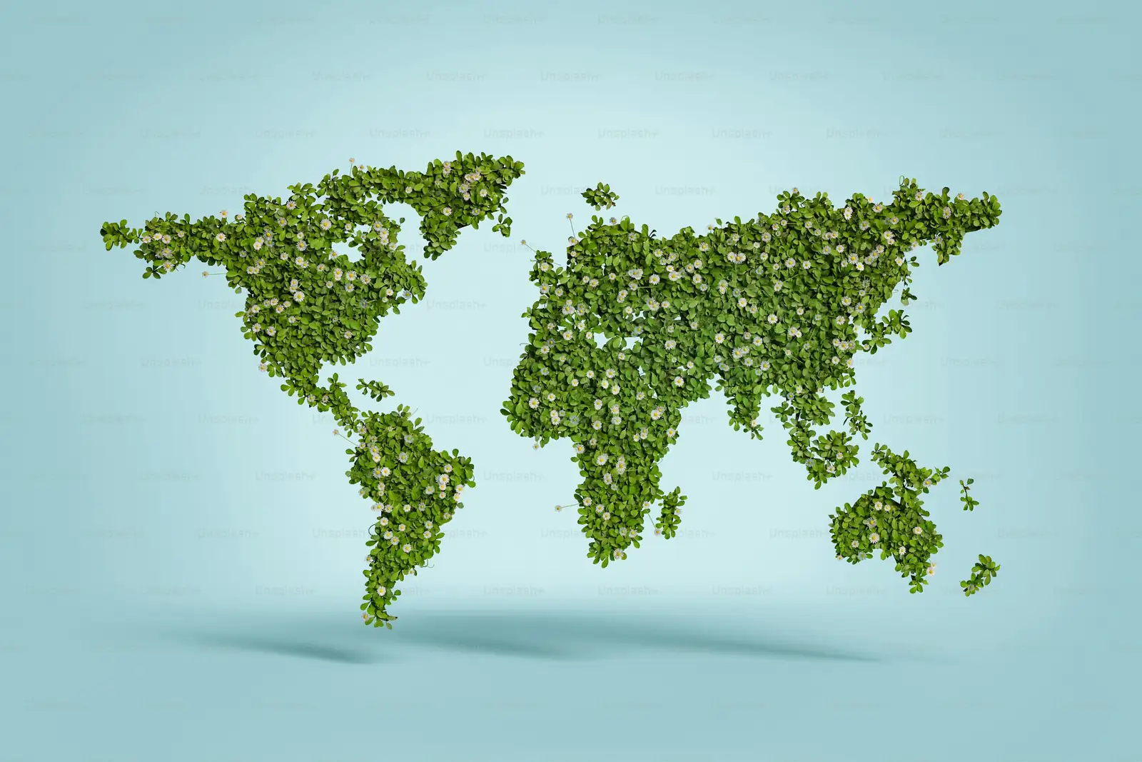 world map lily native range