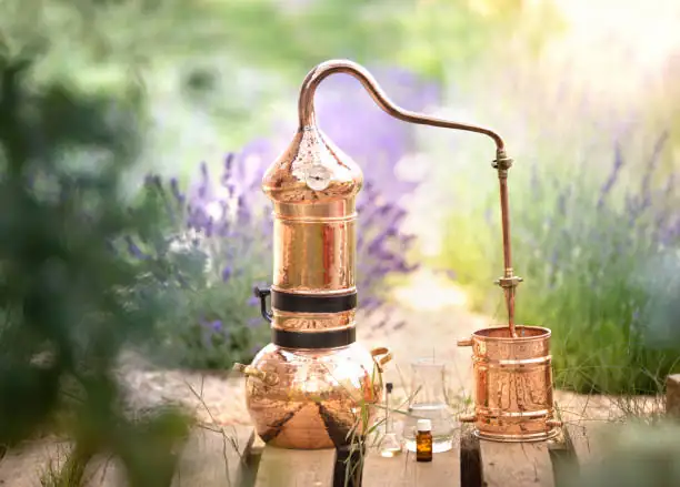 German chamomile steam distillation apparatus