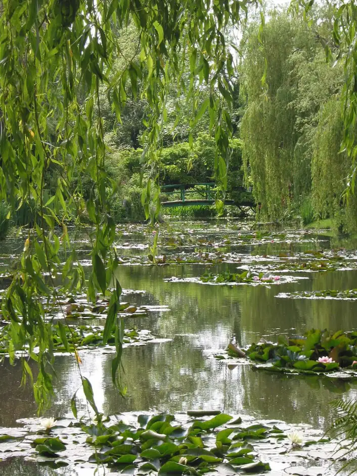 water lily pond Giverny bridge