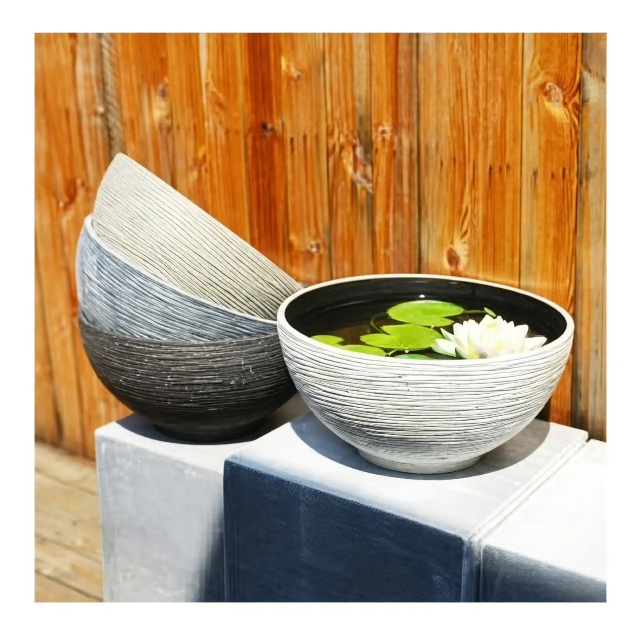 water lily balcony container