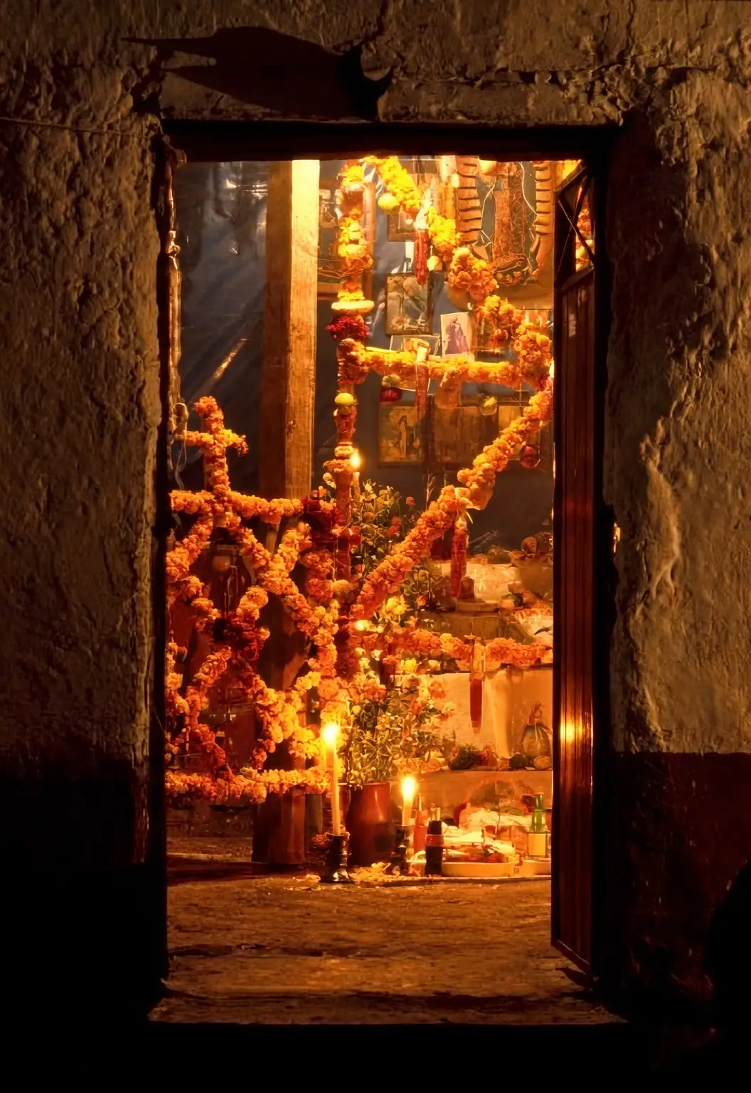 cempasuchil marigold ofrenda altar
