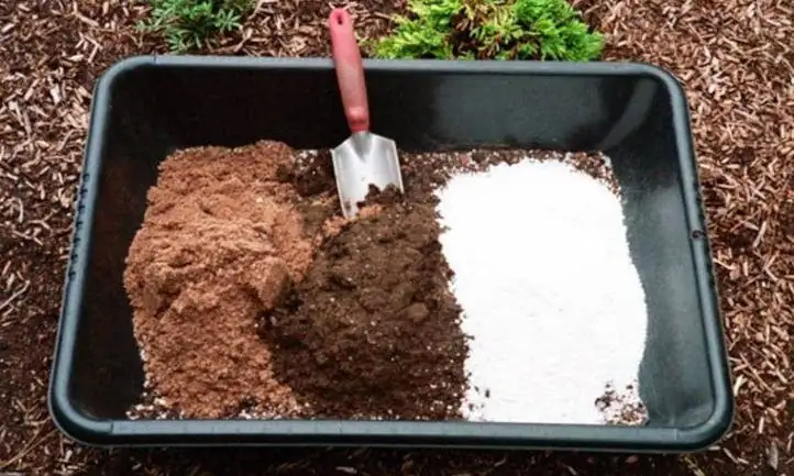 marigold potting mix perlite