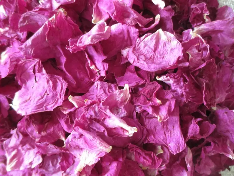 rosa rugosa dried petals hips jars