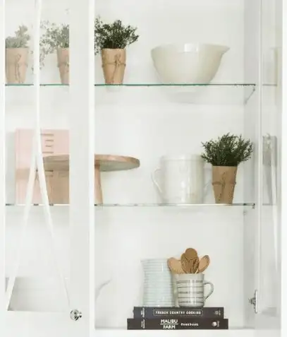 croton in glass cabinet