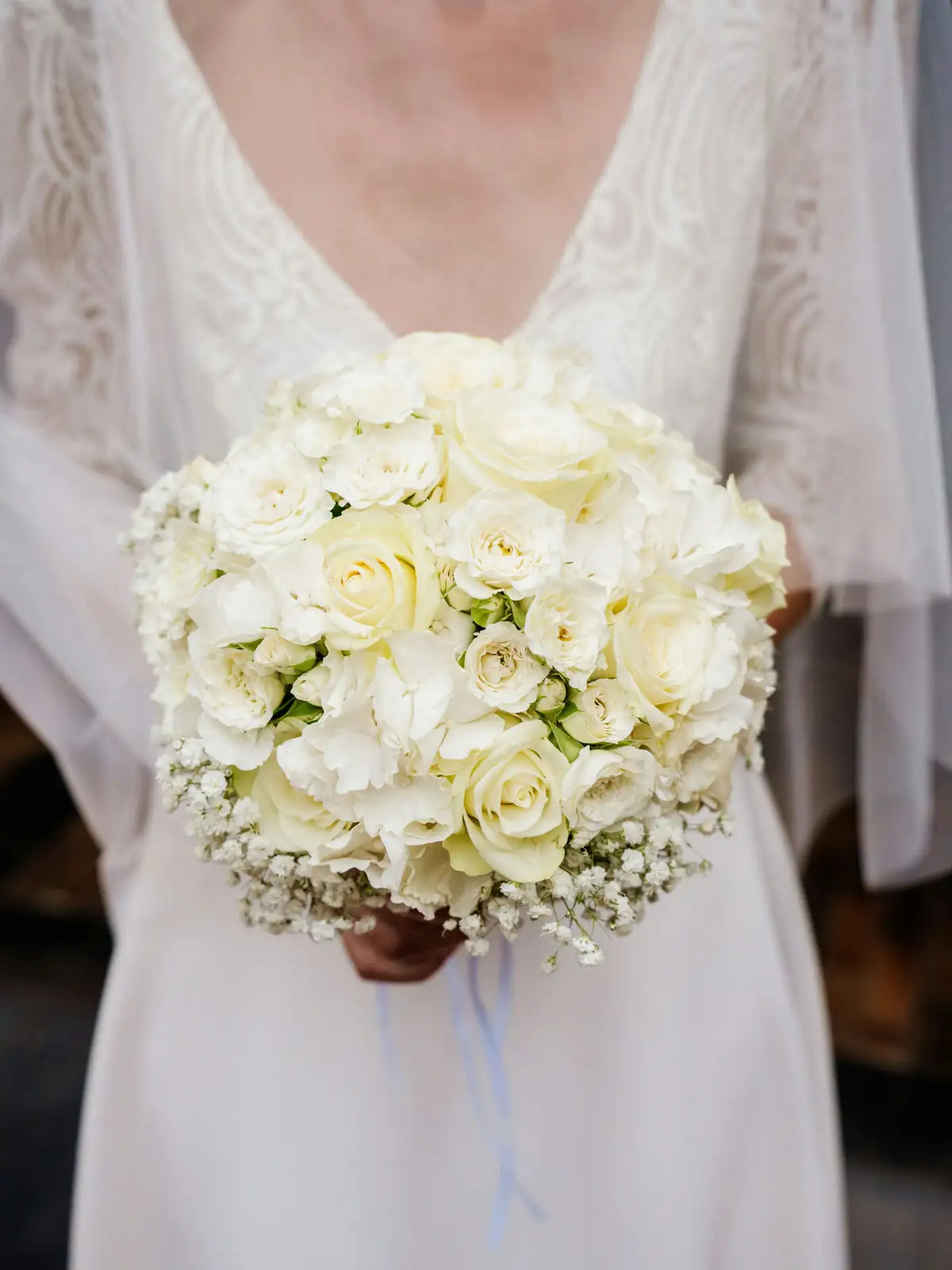 phlox drummondii bridal bouquet