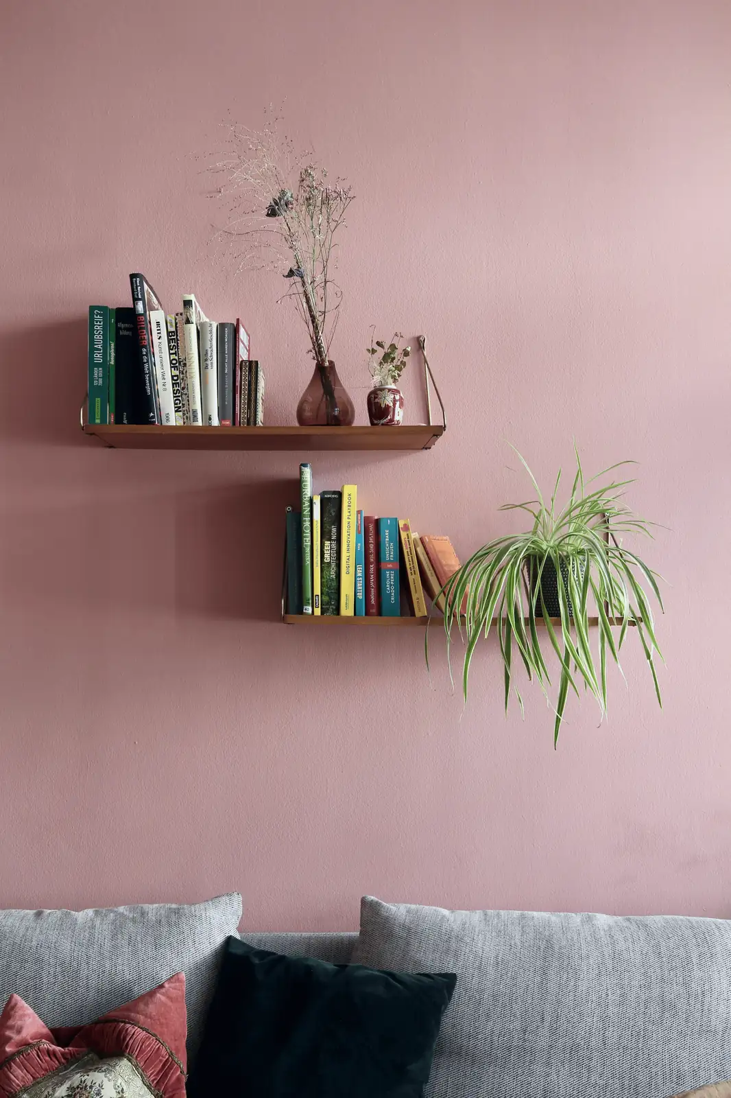 spider plant living room shelf