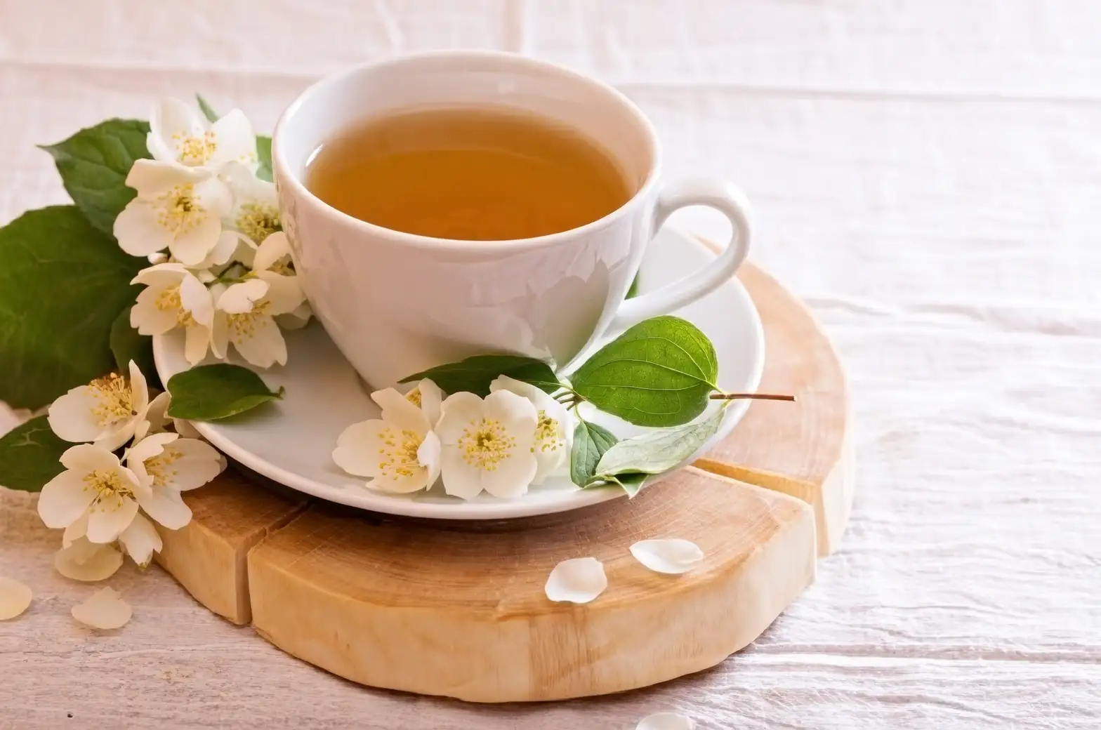 一朵白花的远行：茉莉如何从梵语 mallikā 飘到江南茶盏