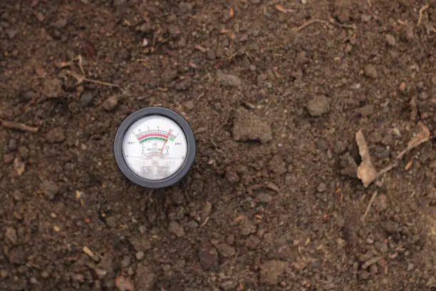 hydrangea soil pH test meter