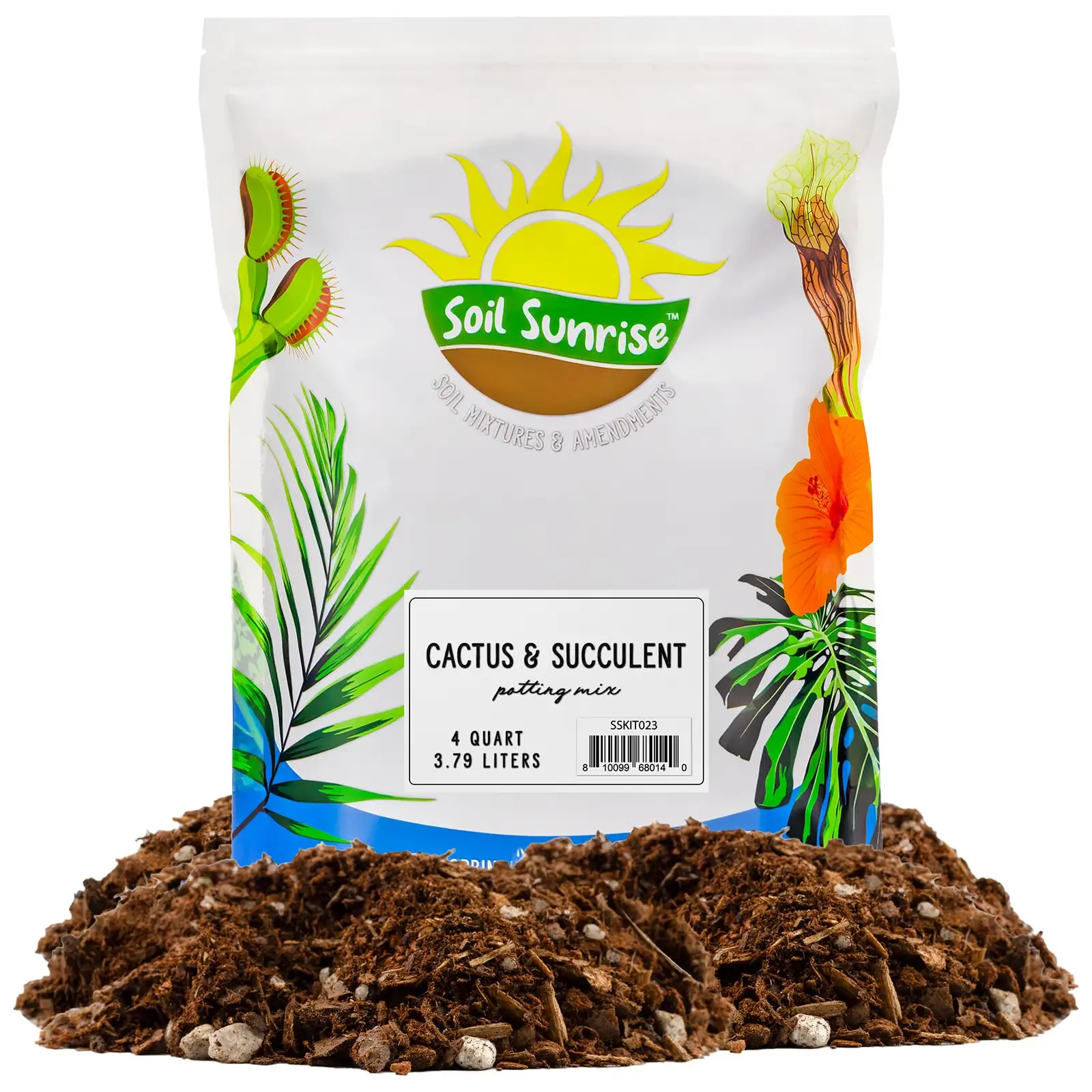agave repotting gritty soil mix
