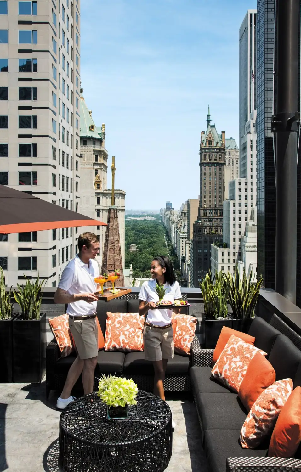 agave rooftop terrace full sun