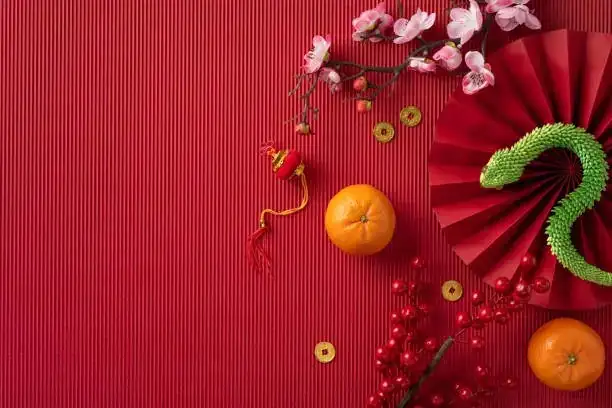 cyclamen Chinese New Year decor