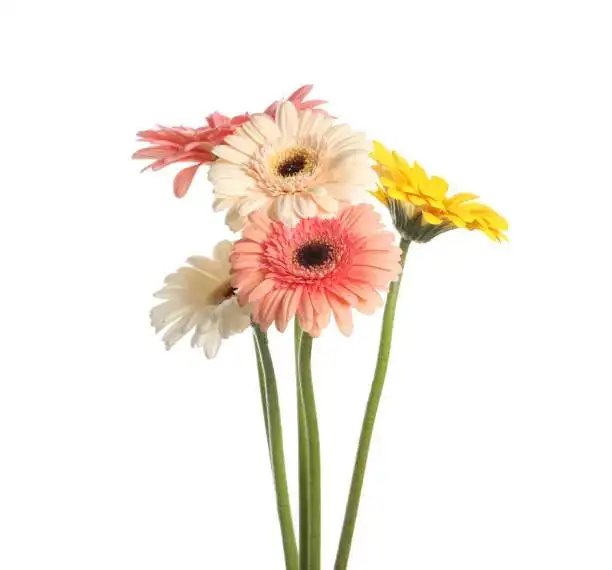 rose sunflower gerbera bouquet