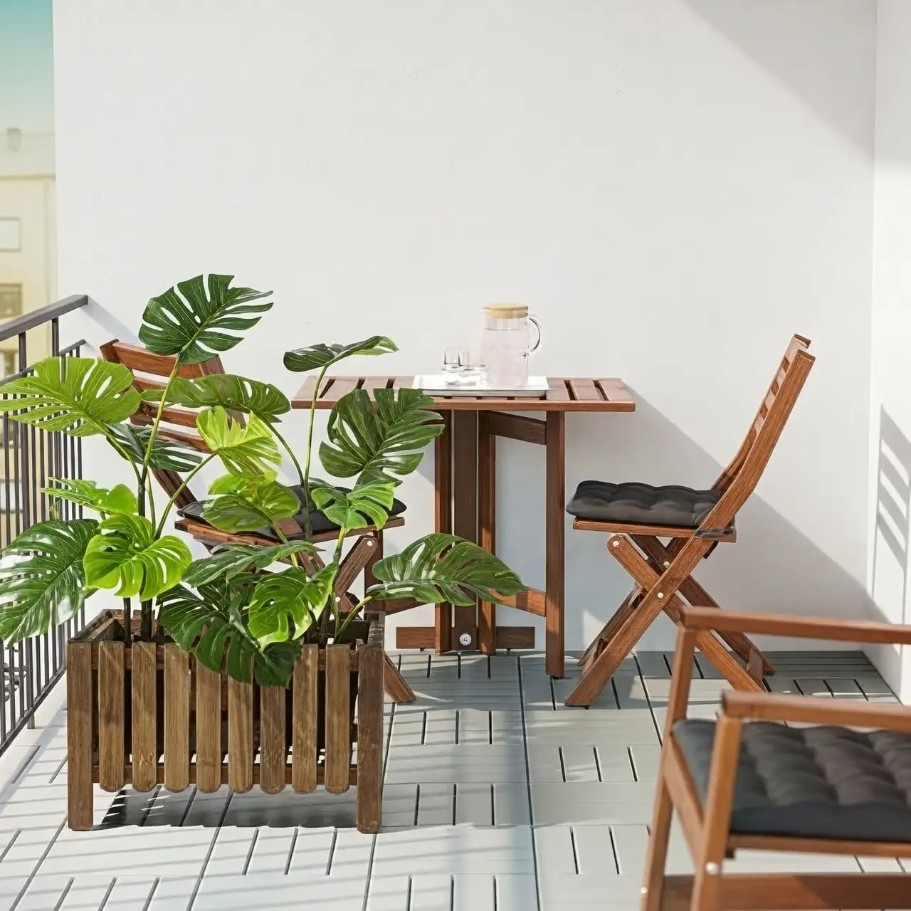 potted fig tree balcony chairs