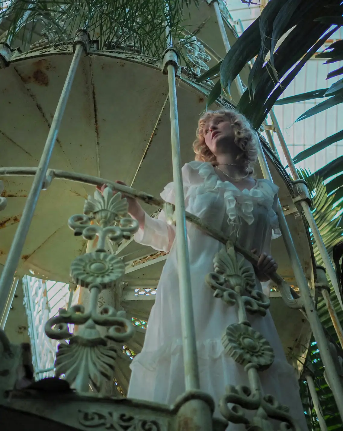 Victorian glasshouse interior plants