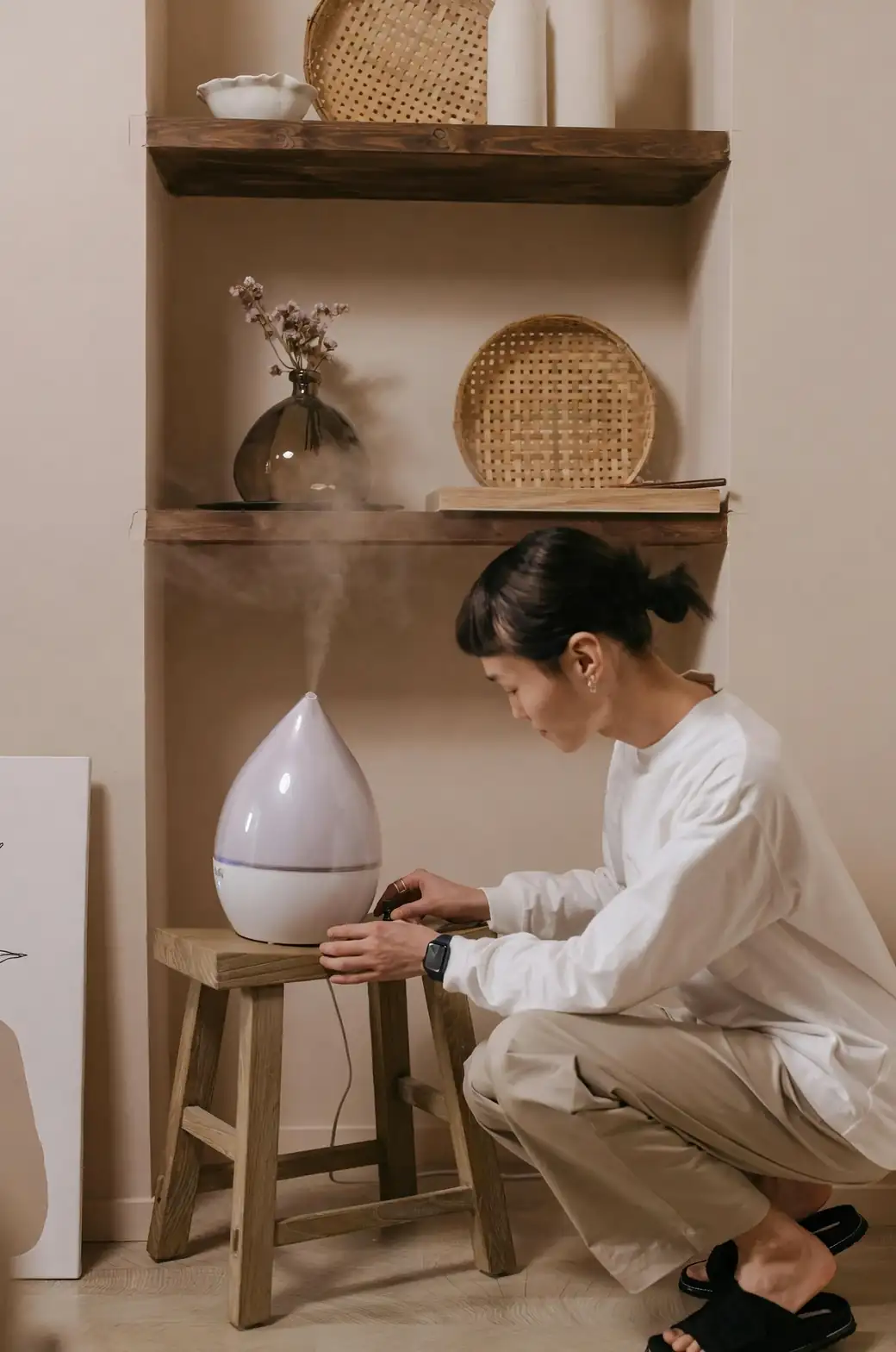 alocasia indoor setup humidifier fan
