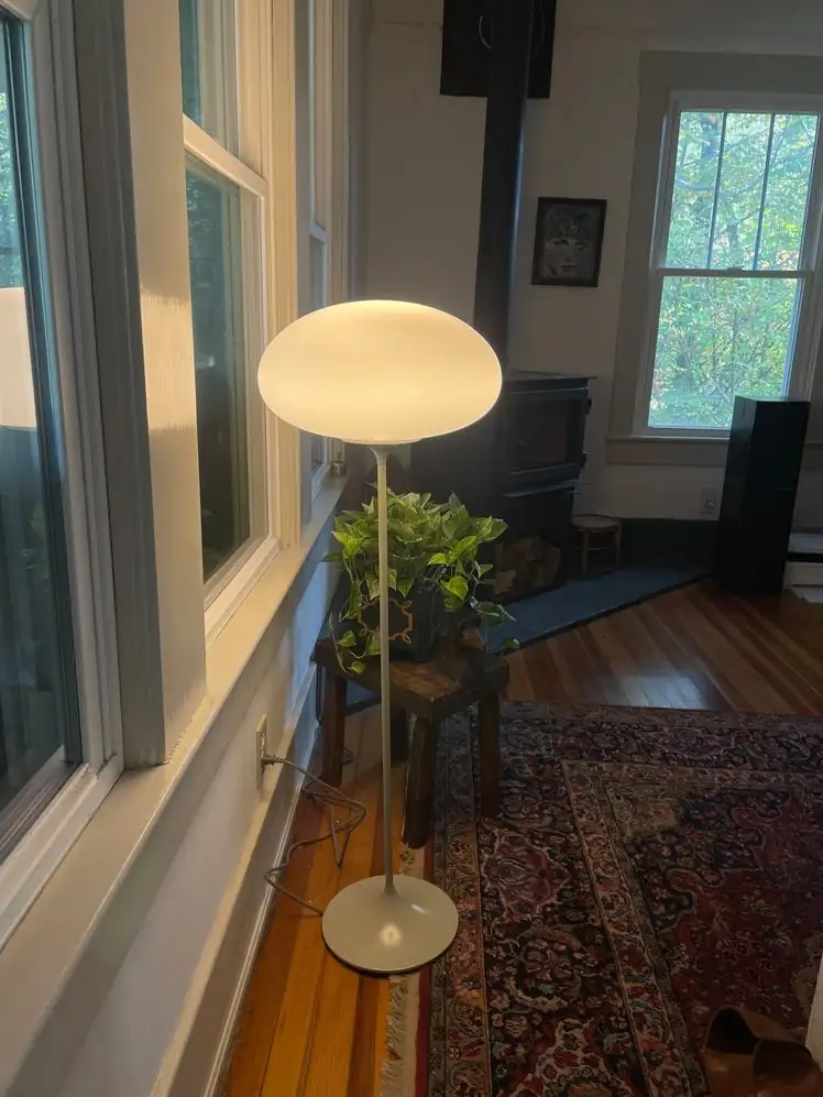 alocasia living room floor lamp