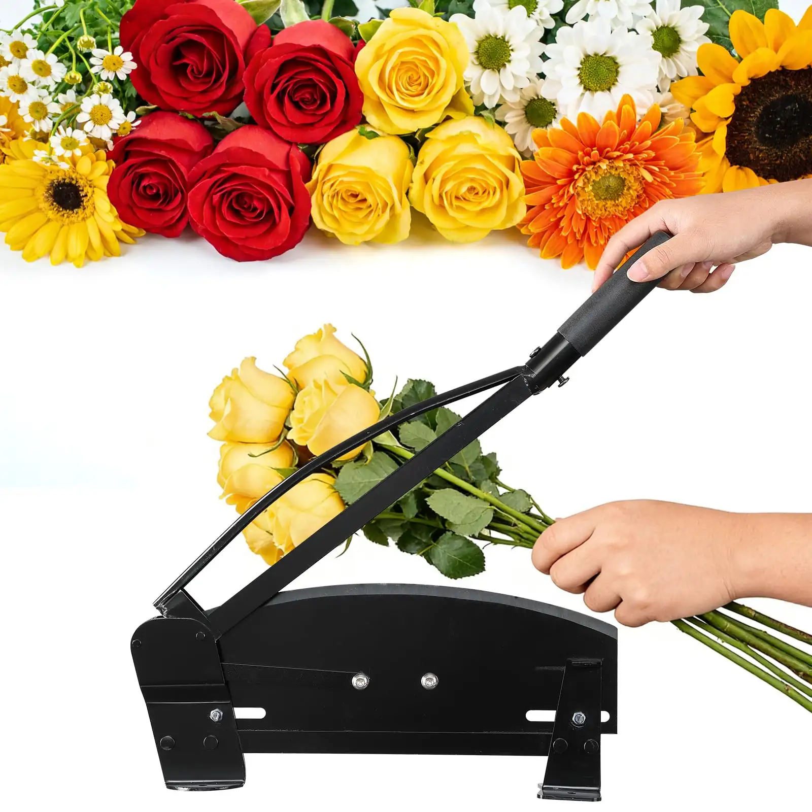 gerbera stem cutting scissors