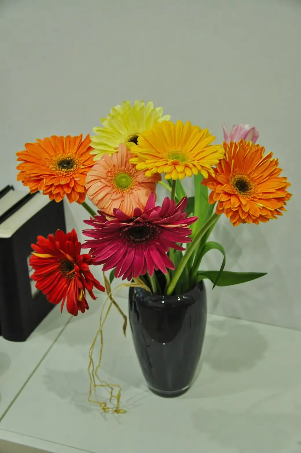 gerbera daisy cut flowers vase