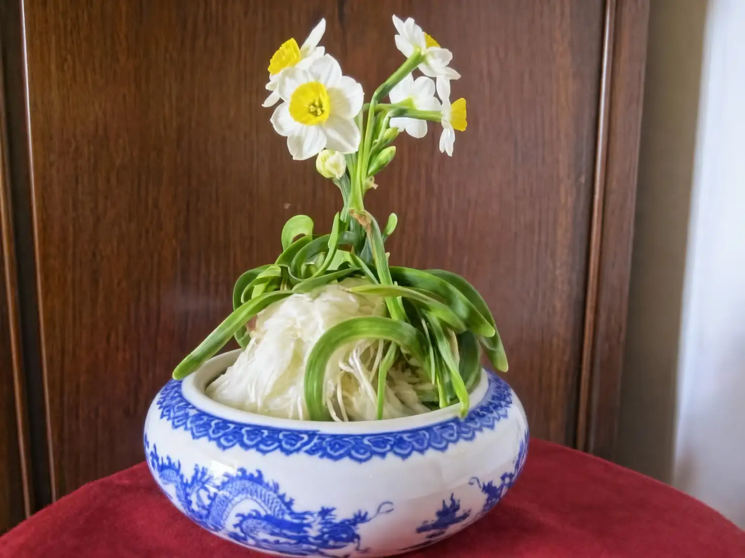 Chinese narcissus water forcing bowl